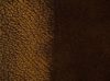 Antique Gold