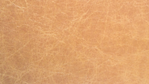 Pale Ale
