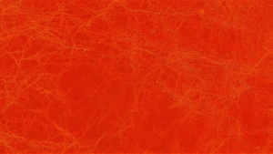 Spritz