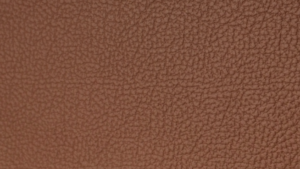 Cocoa