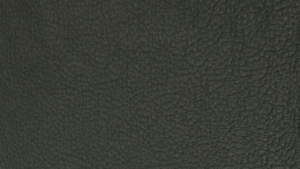 Deep Green
