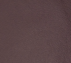Aubergine