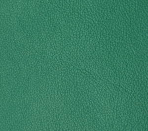 Shamrock