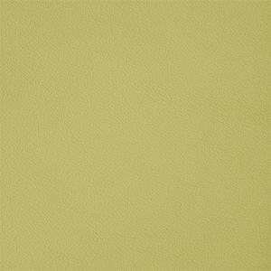 Pistachio