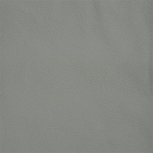 Seal Grey