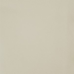Old English White