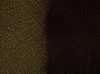 Antique Olive