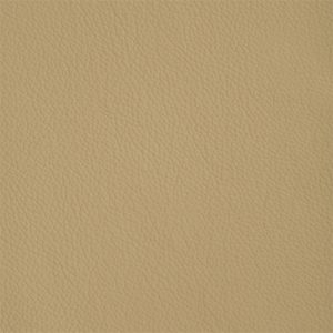 Dark Beige