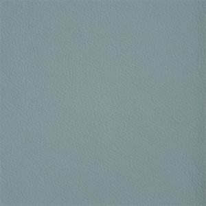 Parlour Blue