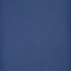 Bilberry