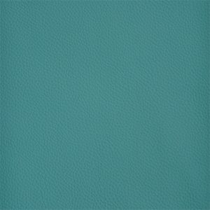 Dark Teal